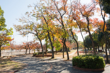 秋の下中島公園