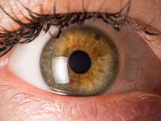 Human eye close up