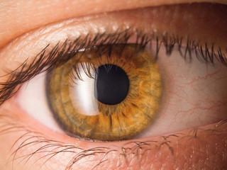 Human eye close up