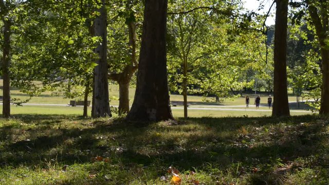 tre giovani ragazzi passeggiano nel parco in una bella giornata di sole