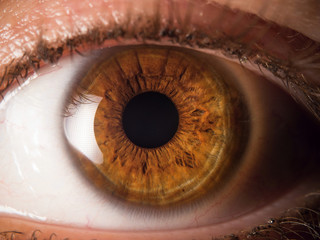Human eye close up