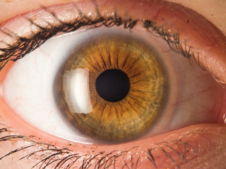 Human eye close up