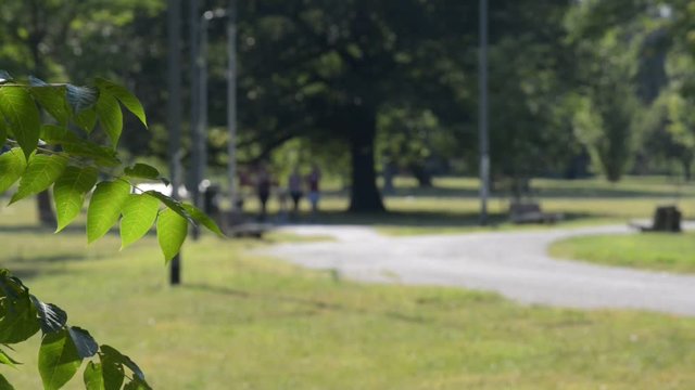 passeggiata nel parco pubblico con amici in una bella giornata d'estate