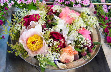 Blumenpracht