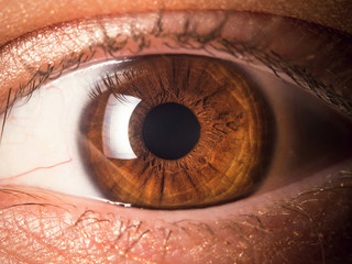 Human eye close up