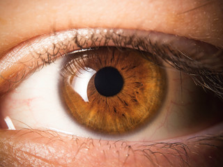 Human eye close up