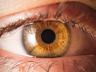 Human eye close up