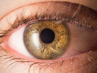 Human eye close up