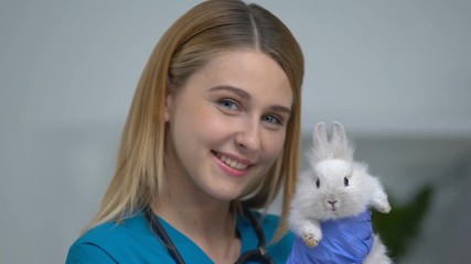 Friendly female vet holding cute rabbit, advertisement of veterinary clinic