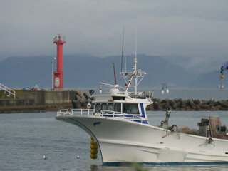 boats in harbor