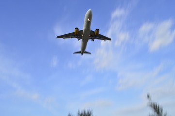avion angular