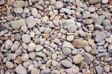 Background with dry round reeble stones.