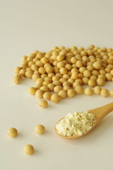 おからパウダー