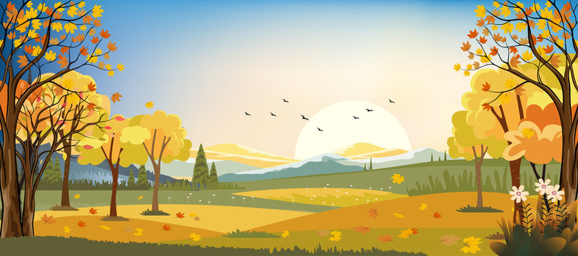 Panorama landscapes of Autumn farm field with maple leaves falling from trees, Fall season in evening.