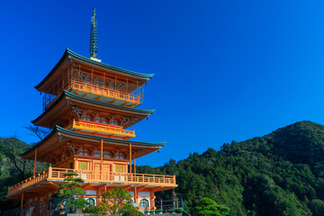Obraz premium Japanese ancient red pagoda