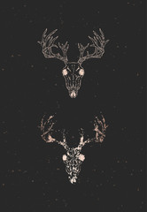 Vector illustration with two variants of hand drawn deer skull on black background. Gold silhouettes and contour with grunge texture.