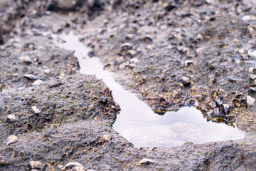 Puddle on the rock.