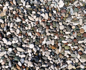 Pebble beach