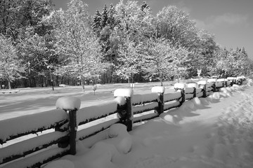 snowscape