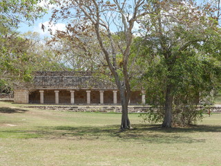 Maya Stätte | Pyramiden in Uxmal | Mexiko