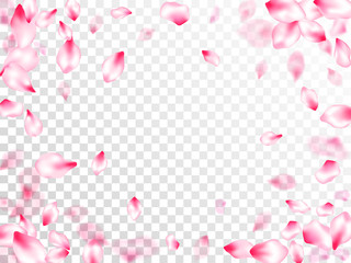 Spring tree flowers parts, airy flying petals