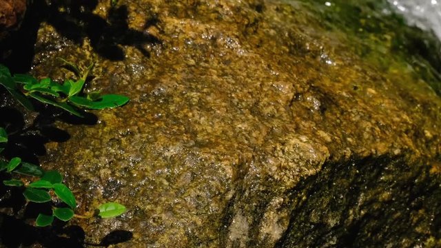 Fragment of a small decorative artificial waterfall in a summer botanical garden, landscape design video clip 1080p close-up using zoom and camera movement while shooting