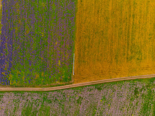 Top down view of fields with various types of agriculture. Beautiful lavender fields.