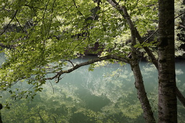 water, river, lake, nature, landscape, forest, tree, trees, green, sky, summer, park, pond, reflection, stream, blue, spring, grass, environment, beauty, beautiful, peaceful, tranquil, woods, natural