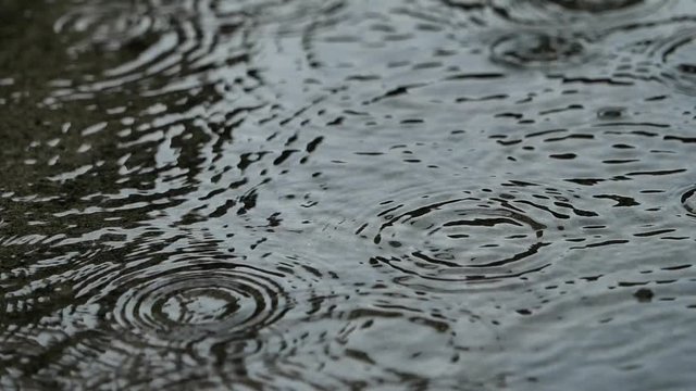 雨　波紋