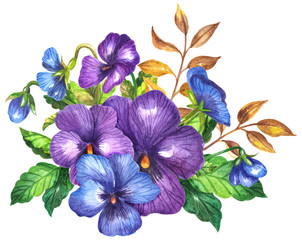 Watercolor  bouquet pansies flowers