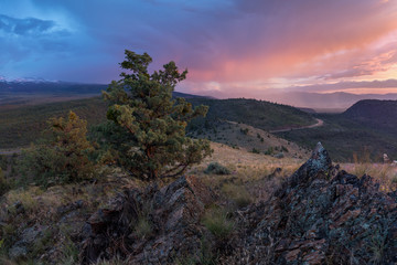 Landscape with lonely tree and dark and colorful stormy sky. Pine tree blowing in the winds before a power storm or hurricane. Landscape concept