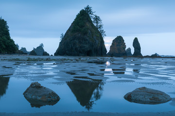 Sea stacks and reflections on sandy beach. Shoreline of Pacific Ocean. Olympic Peninsula. Shi Shi Beach, Washington state WA. USA.