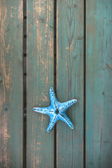 Starfish on a green benche