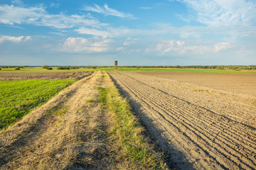 Fototapeta na wymiar Dirt road next to a plowed field