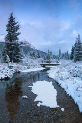 Winter in the mountains Bow Lake Banff National Park Alberta Canada First snow in the forest. Beautiful christmas atmosphere.