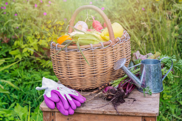 Fototapeta na wymiar Fresh organic vegetables