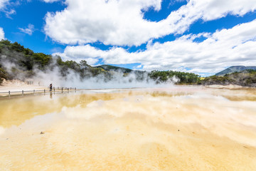 geothermal activity at Rotorua in New Zealand