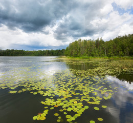Beautiful view of  lake in summer, Smolensk region, Russia