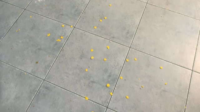 Cornflakes, flour and seeds on the gray tile on the kitchen floor. Dirty kitchen floor with leftovers