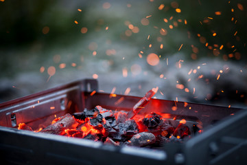 Barbecue Coal Fire