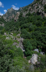 Fototapeta na wymiar Gorge d'Heric Mons la Trivalle Languedoc France 