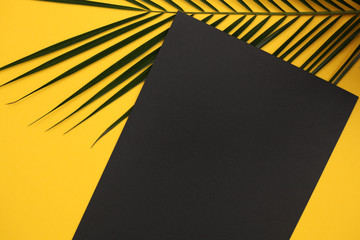 Black paper blank with tropical palm leaf Monstera on yellow background. Flat lay, top view minimal concept