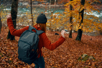 little boy in autumn forest