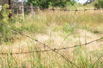 Barb Wire. The territory is fenced off. Dangerous land. Do not go over the fence. Wire in military territory. The battle zone. minefield, stay dangerous.