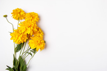 Beautiful bouquet of yellow chrysanthemums close up on white background with empty, clear space, place for text postcard concept.