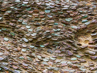 Close up of  many rusted and tarnished coins hammered in to a tree branch.
