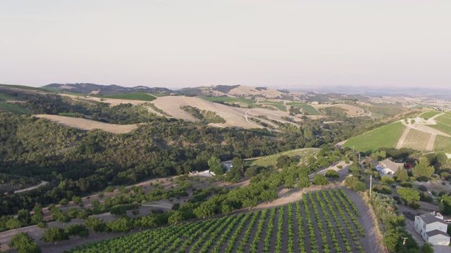 Aerial Drone Shot of a House in a Valley Surrounded by Vineyards (Paso Robles,California)
