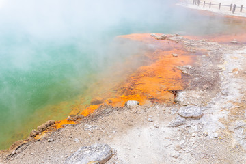 hot sparkling lake in New Zealand