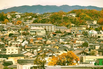 Obraz premium Nara, Japan