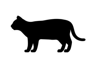 Vector black silhouette of a cat
